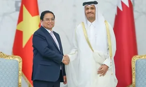 Việt Nam - Qatar xem xét miễn visa cho người mang hộ chiếu phổ thông Việt Nam - Qatar xem xét miễn visa cho người mang hộ chiếu phổ thông