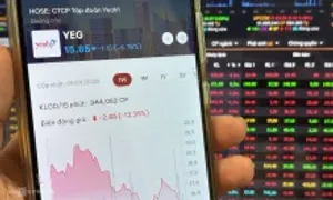 Cổ phiếu Yeah1 nằm sàn Cổ phiếu Yeah1 nằm sàn