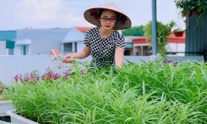 Vợ chồng làm vườn rau sạch sân thượng sau lần ngộ độc Vợ chồng làm vườn rau sạch sân thượng sau lần ngộ độc