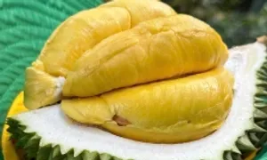 Đề xuất ứng dụng AI kiểm soát tồn dư hóa chất trong sầu riêng Đề xuất ứng dụng AI kiểm soát tồn dư hóa chất trong sầu riêng