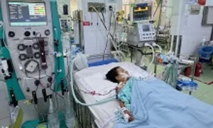 Ai mắc sốt xuất huyết dễ trở nặng Ai mắc sốt xuất huyết dễ trở nặng