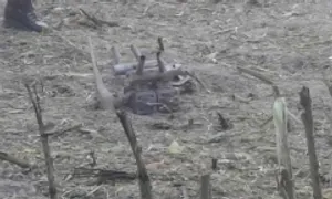 Ba Lan thừa nhận không phát hiện UAV xâm nhập không phận Ba Lan thừa nhận không phát hiện UAV xâm nhập không phận